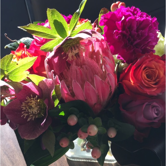 Meet your Posher, Robin - Picture 1 of 1